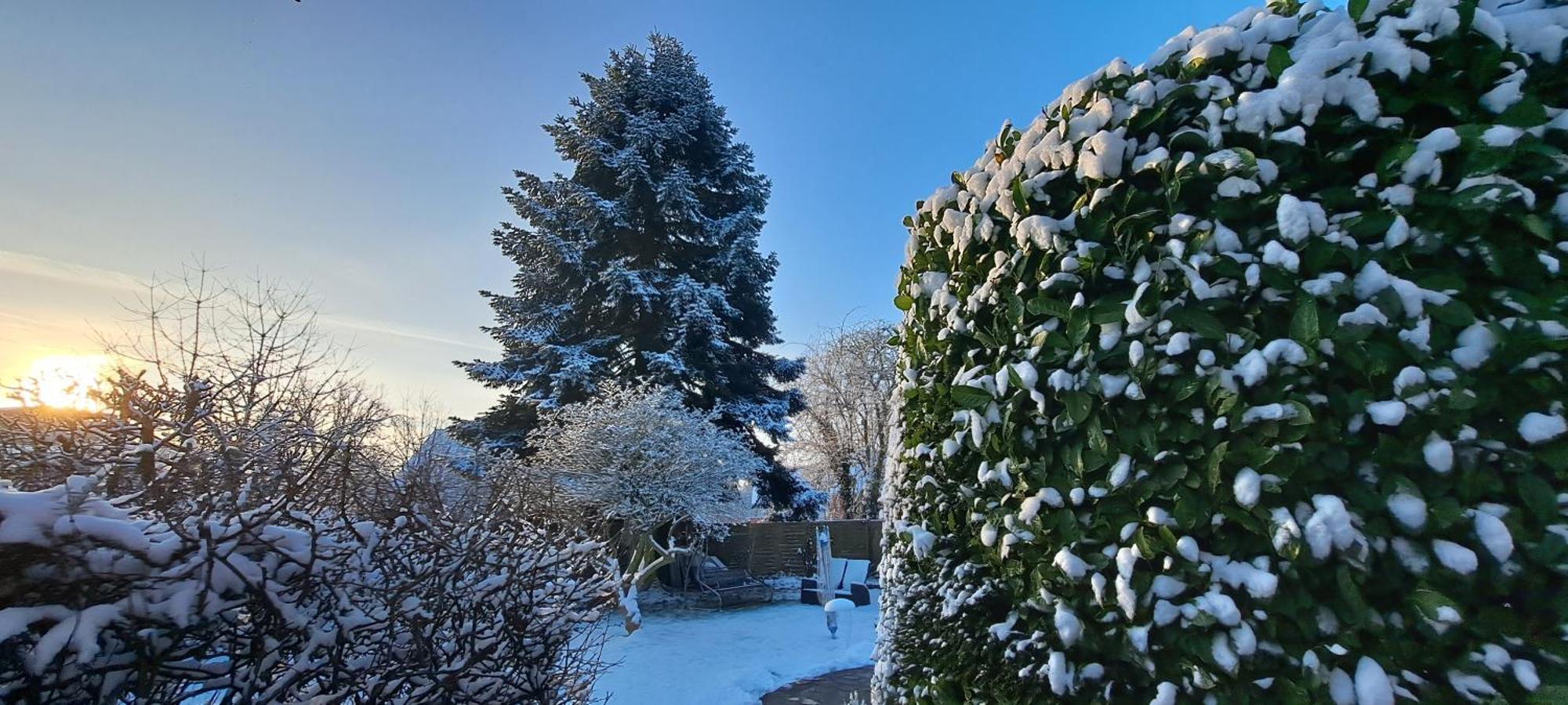 Bungalow An Der Tanne Mit Ueberdachter Terrasse 뒤셀도르프 외부 사진