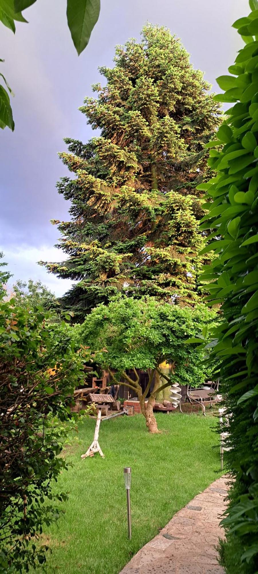 Bungalow An Der Tanne Mit Ueberdachter Terrasse 뒤셀도르프 외부 사진